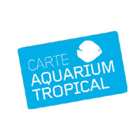 Aquarium Tropical de la Porte Doree (Paris 12e) - Pass-Adulte-Annuel (a partir de 26 ans)