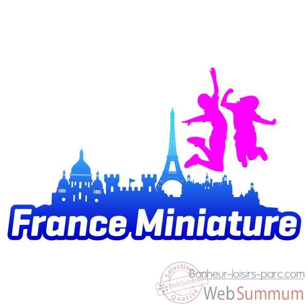 Pass Paradiloisirs - France Miniature-Mer de Sable-Parc Asterix- Grevin  - Pass-famille annuel